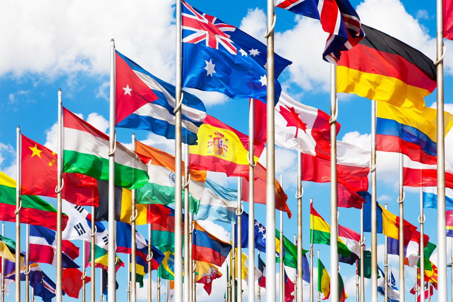 Международные организации культура. Флаг ООН. Международные отношения.